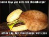 20100310-potd-cat-burger.jpg