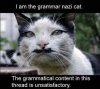 Nazi Grammar Cat.jpg