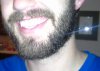 Beast beard1.jpg