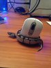 snake-wrapped-computer-mouse-yospos-13541445297.jpg