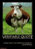 excuse-me-now-its-time-for-my-moovement-quote-cow-demotivational-posters-1304070896.jpg