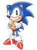 sonic-the-hedgehog_1318971647.jpg