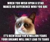 funny-Grumpy-cat-space-star.jpg