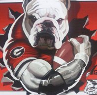 bulldawg61857